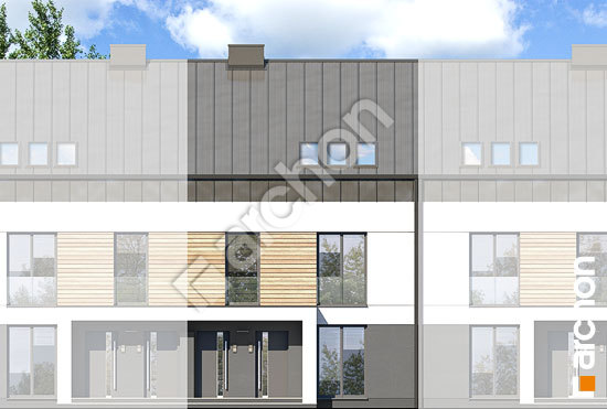 Передний фасад Дом в фиалках 10 (Р2С)