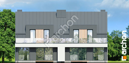 Дворовий фасад Будинок в клематисах 27 (Р2)