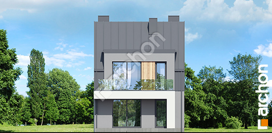 Дворовий фасад Будинок в фіалках 7 (Р2) ver.2