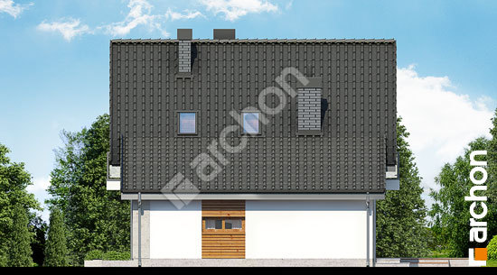 Боковой фасад Дом в рододендронах 4 (НТ)