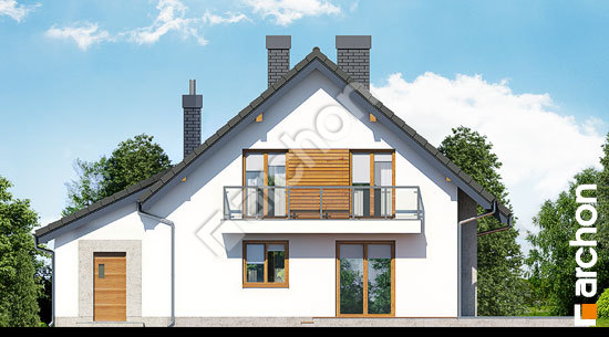 Дворовой фасад Дом в рододендронах 4 (НТ)