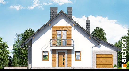 Передний фасад Дом в рододендронах 4 (НТ)