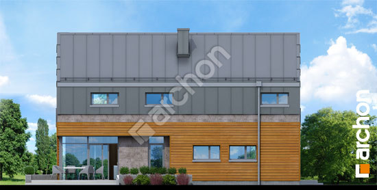 Бочний фасад Будинок під івою