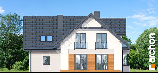 Дворовий фасад Будинок в рододендронах 20 (Н)