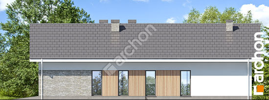 Бочний фасад Будинок в підсніжниках 9 (Г2)