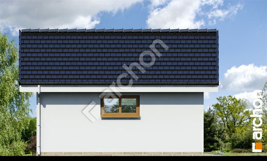 Боковой фасад Г17 - Хозяйственная постройка