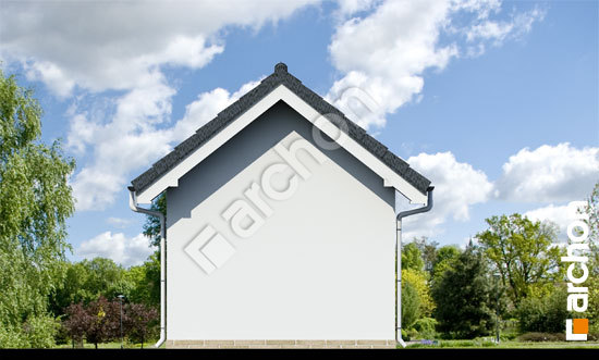 Дворовий фасад Господарська будівля Г17