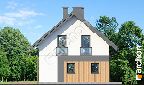 Боковой фасад Дом в малиновках 29