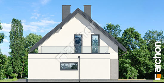 Боковой фасад Дом в иссопах