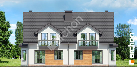 Дворовий фасад Будинок в дельфініумі 3 вер.2