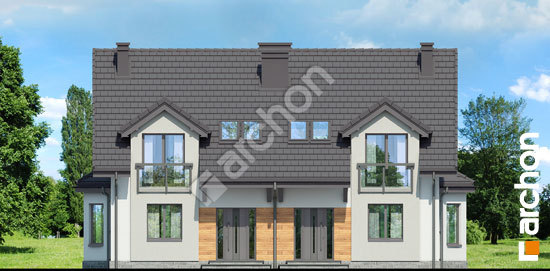 Передний фасад Дом в дельфиниуме 3 вер.2