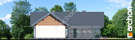 Боковой фасад Дом в кливиях 9 (Г2)