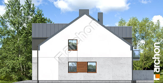 Бочний фасад Будинок під гінко 16 (ГБ)