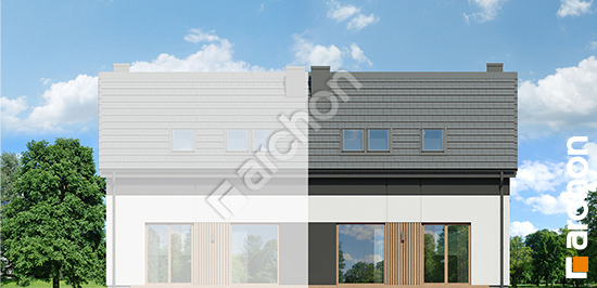 Дворовой фасад Дом в аркадиях (Б) вер.2