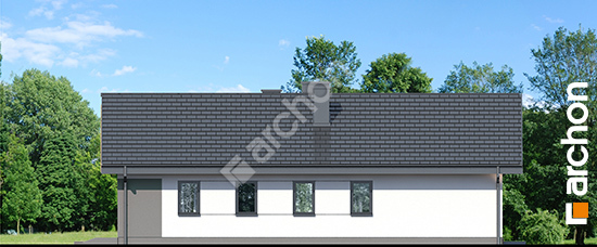 Бочний фасад Будинок в навлоціях 7 (Г2)