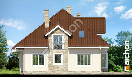 Дворовий фасад Будинок в тим'яні 6