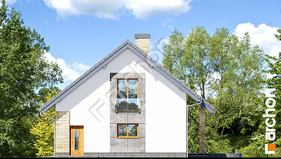 Бочний фасад Будинок у вістерії 3