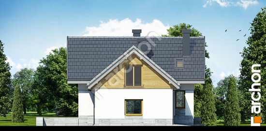 Бочний фасад Будинок в помело 