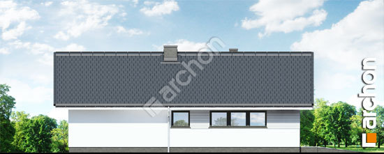 Боковой фасад Дом в бонсай