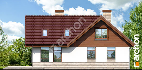 Дворовий фасад Будинок в манго 2