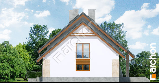 Боковой фасад Дом в филодендронах