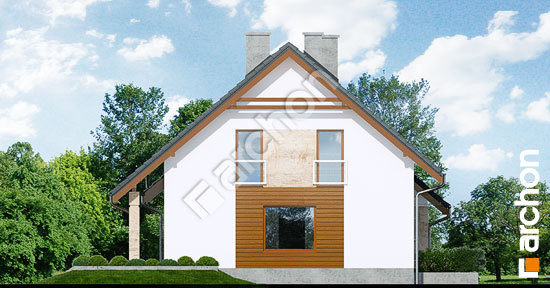 Боковой фасад Дом в филодендронах