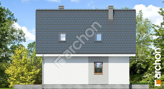 Бочний фасад Будинок в рододендронах 11 (H)