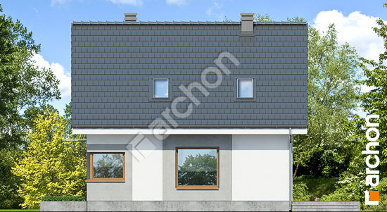 Боковой фасад Дом в рододендронах 11 (H)