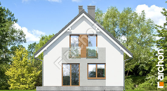 Дворовий фасад Будинок в рододендронах 11 (H)