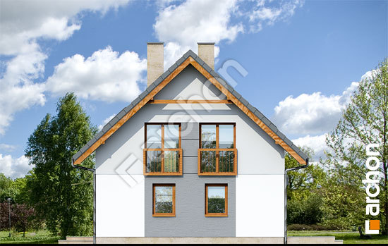 Бочний фасад Будинок в хлорофітумі 2