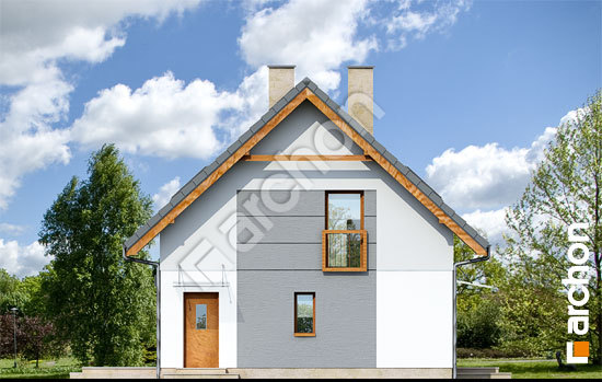 Боковой фасад Дом в хлорофитуме 2