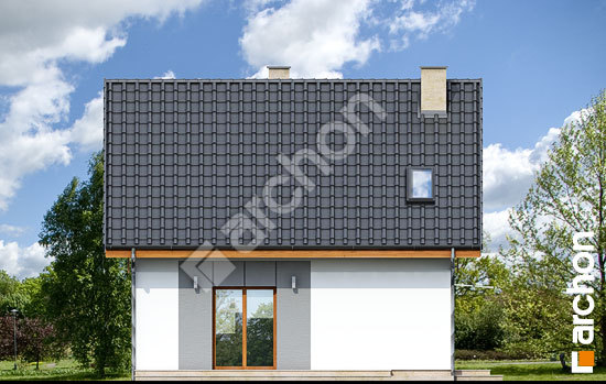 Дворовий фасад Будинок в хлорофітумі 2