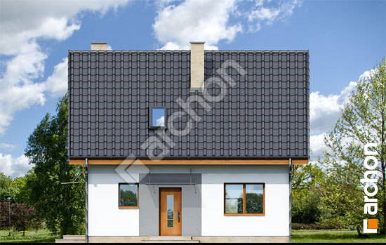 Передний фасад Дом в хлорофитуме 2