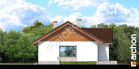 Дворовий фасад Будинок в плодолистках