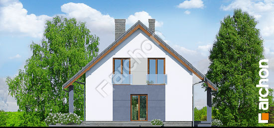 Бочний фасад Будинок в красивоягідниках