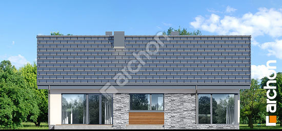 Дворовий фасад Будинок під червоною горобиною 8 (H)