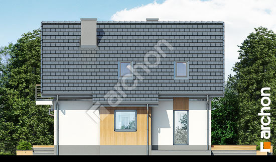 Бочний фасад Будинок під каштаном 3 (Н)