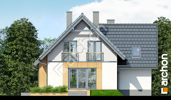 Дворовий фасад Будинок під каштаном 3 (Н)