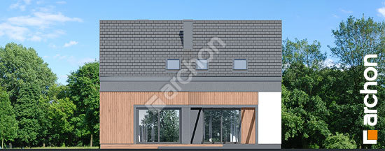 Дворовий фасад Будинок в ковилах (Г2Е)