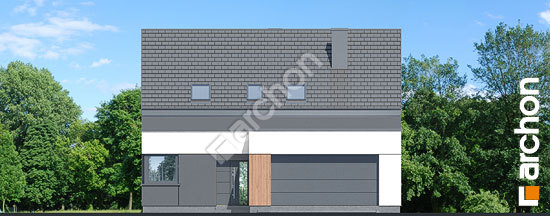 Передний фасад Дом в ковылах (Г2Е)