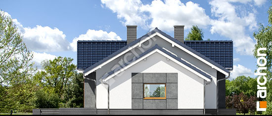 Бочний фасад Будинок в акебіях 4