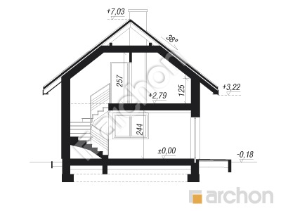 Проект дома ARCHON+ Г26 - Двухместный гараж  Розріз будинку