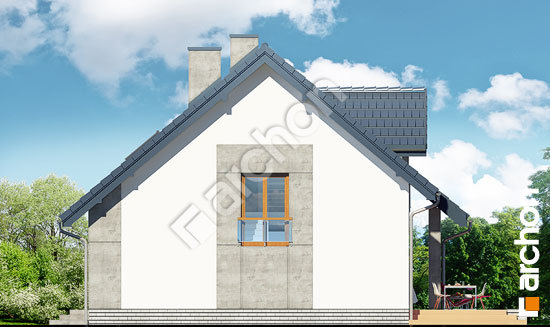 Бочний фасад Будинок в філодендронах (В)