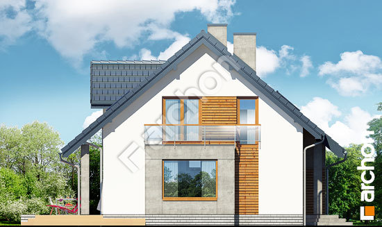 Бочний фасад Будинок в філодендронах (В)