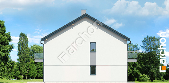 Бочний фасад Будинок в фіалках (Р2Е) вер.2