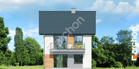 Дворовий фасад Будинок в фіалках (Р2Е) вер.2