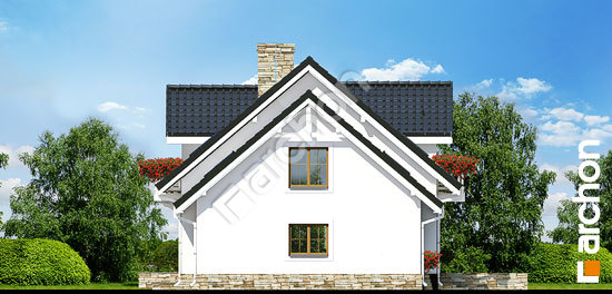 Бочний фасад Будинок в рододендронах 6 (ПТ)