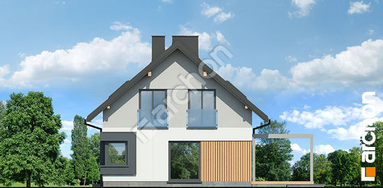 Бочний фасад Будинок в пампасах