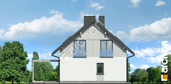 Бочний фасад Будинок в пампасах