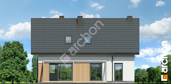 Дворовий фасад Будинок в пампасах